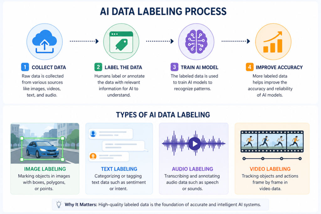 AI Data Labeling Process for Beginners ai data labeling process steps collect data label train model improve accuracy
